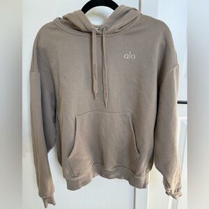 Alo Accolade Hoodie (size s)